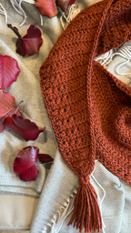 Wild Winter Shawl