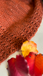 Wild Winter Shawl