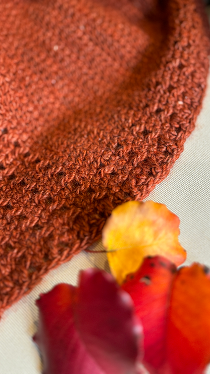 WILD WINTER SHAWL PATTERN